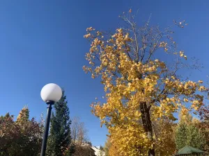 Малооблачно и до 13 градусов тепла обещают в Ульяновской области