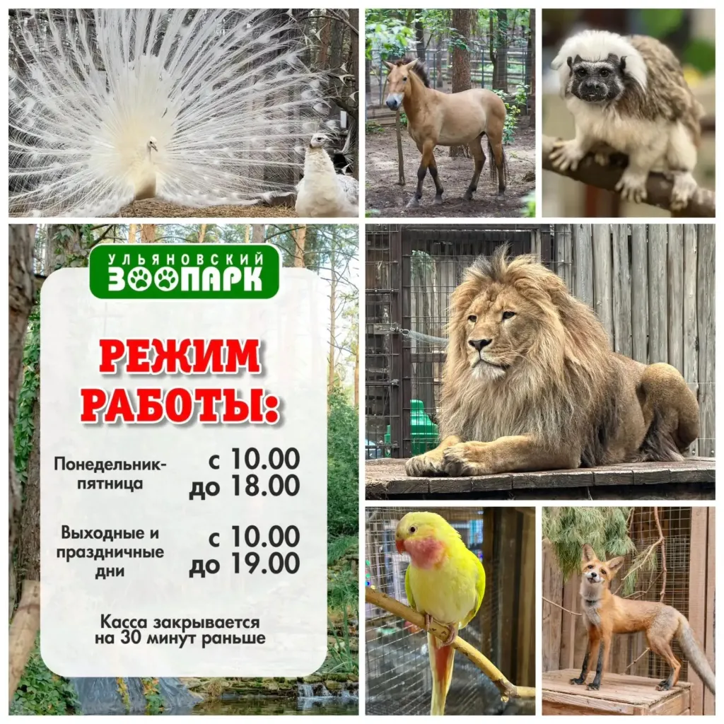 Ульяновский зоопарк перешёл на осенне-зимний график работы