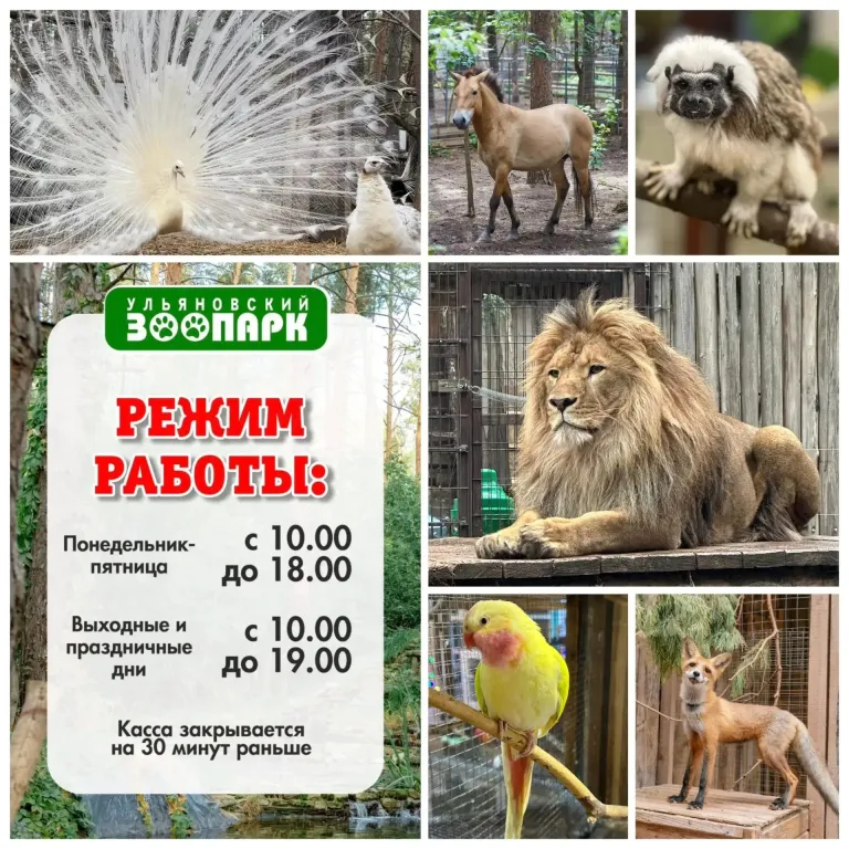 Ульяновский зоопарк перешёл на осенне-зимний график работы