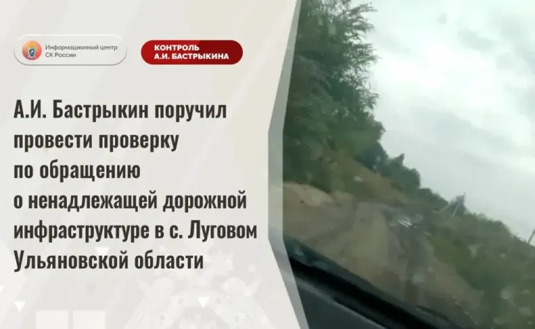 Бастрыкин поручил проверить дорогу в селе Луговое под Ульяновском